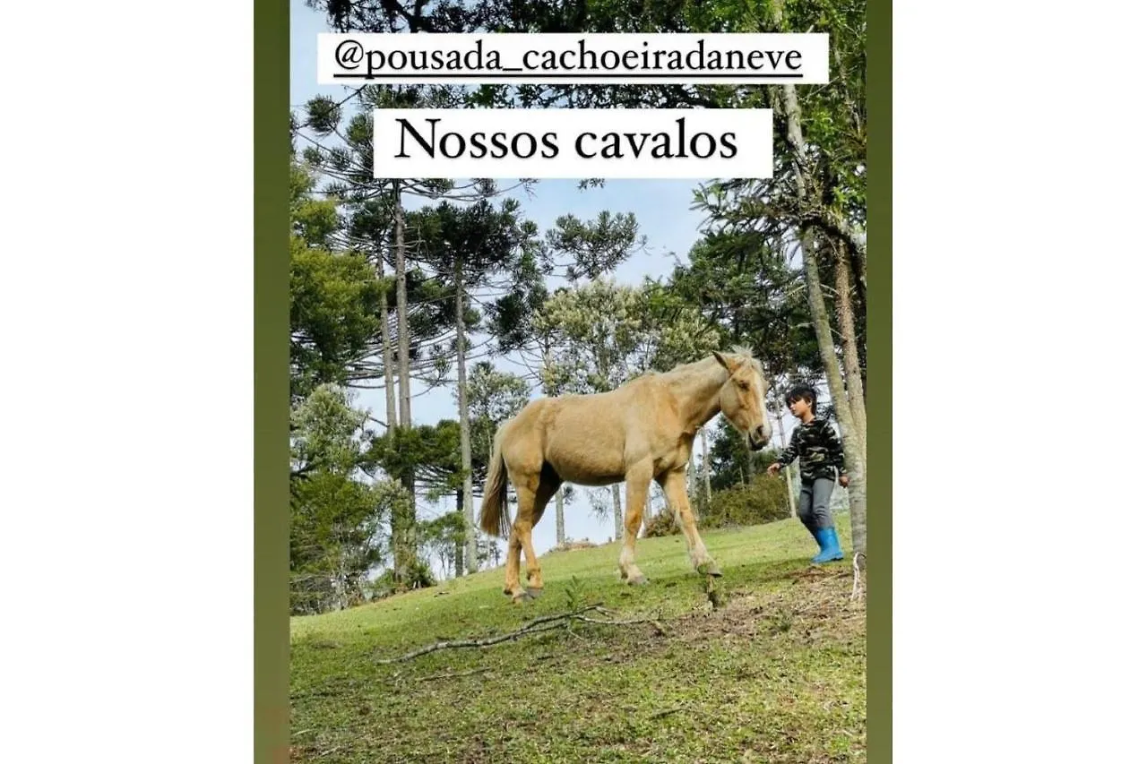 招待所 Floresta Secreta- Pousada Cachoeira Da Neve 乌鲁比西 巴西