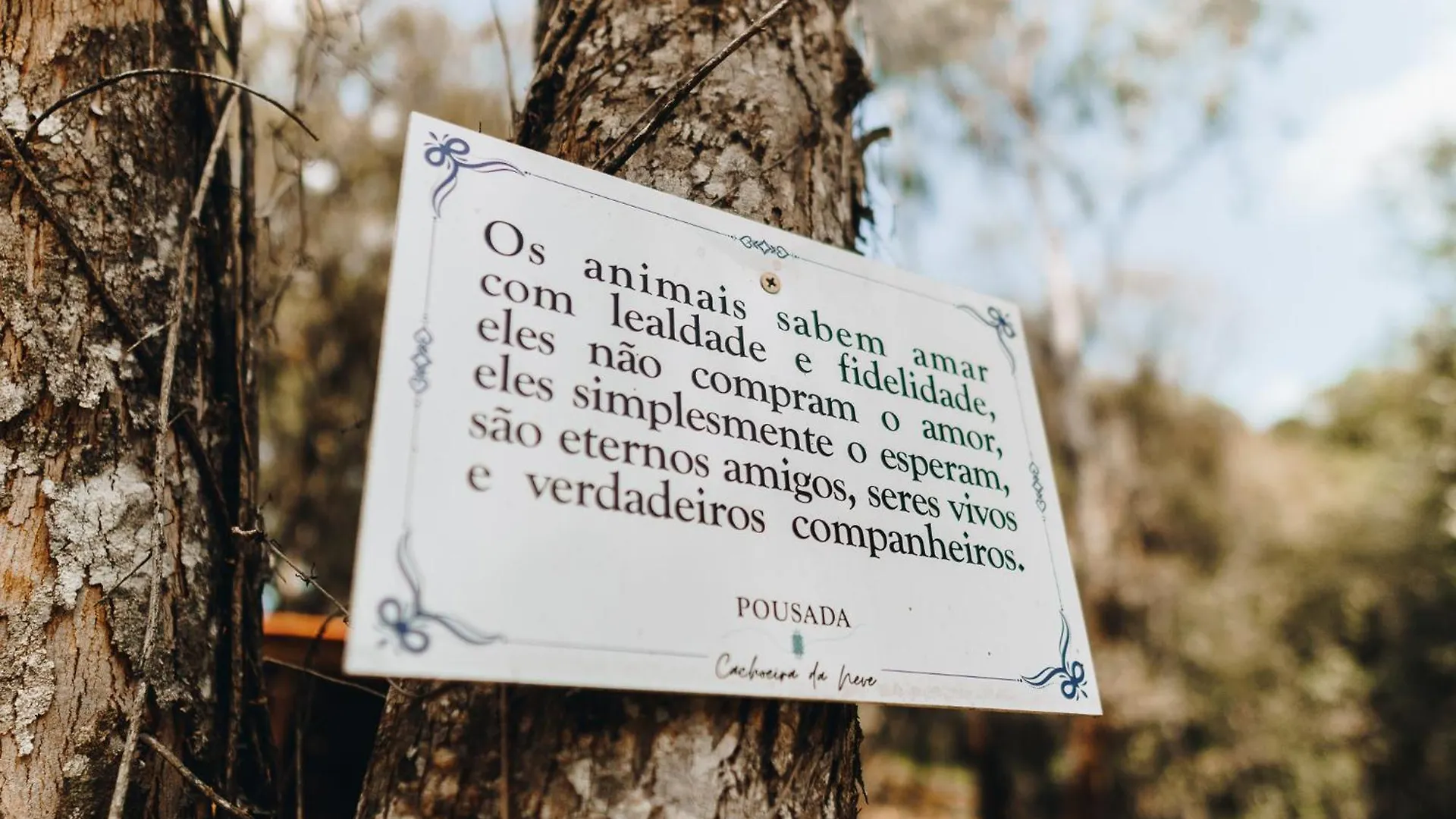 Konukevi Floresta Secreta- Pousada Cachoeira Da Neve Urubici